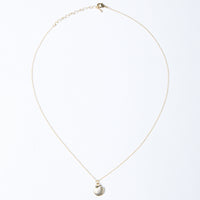 Dainty Shell Necklace Jewelry Gold One Size -2020AVE