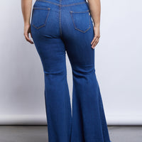 Curve Far Out Jeans Plus Size Bottoms -2020AVE
