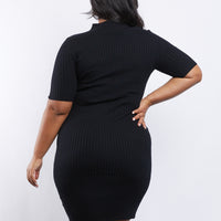 Curve Phoebe Sweater Dress Plus Size Dresses -2020AVE