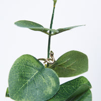 Slithering Snake Ring Jewelry -2020AVE