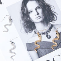 Wavy Snake Earrings Jewelry Silver One Size -2020AVE