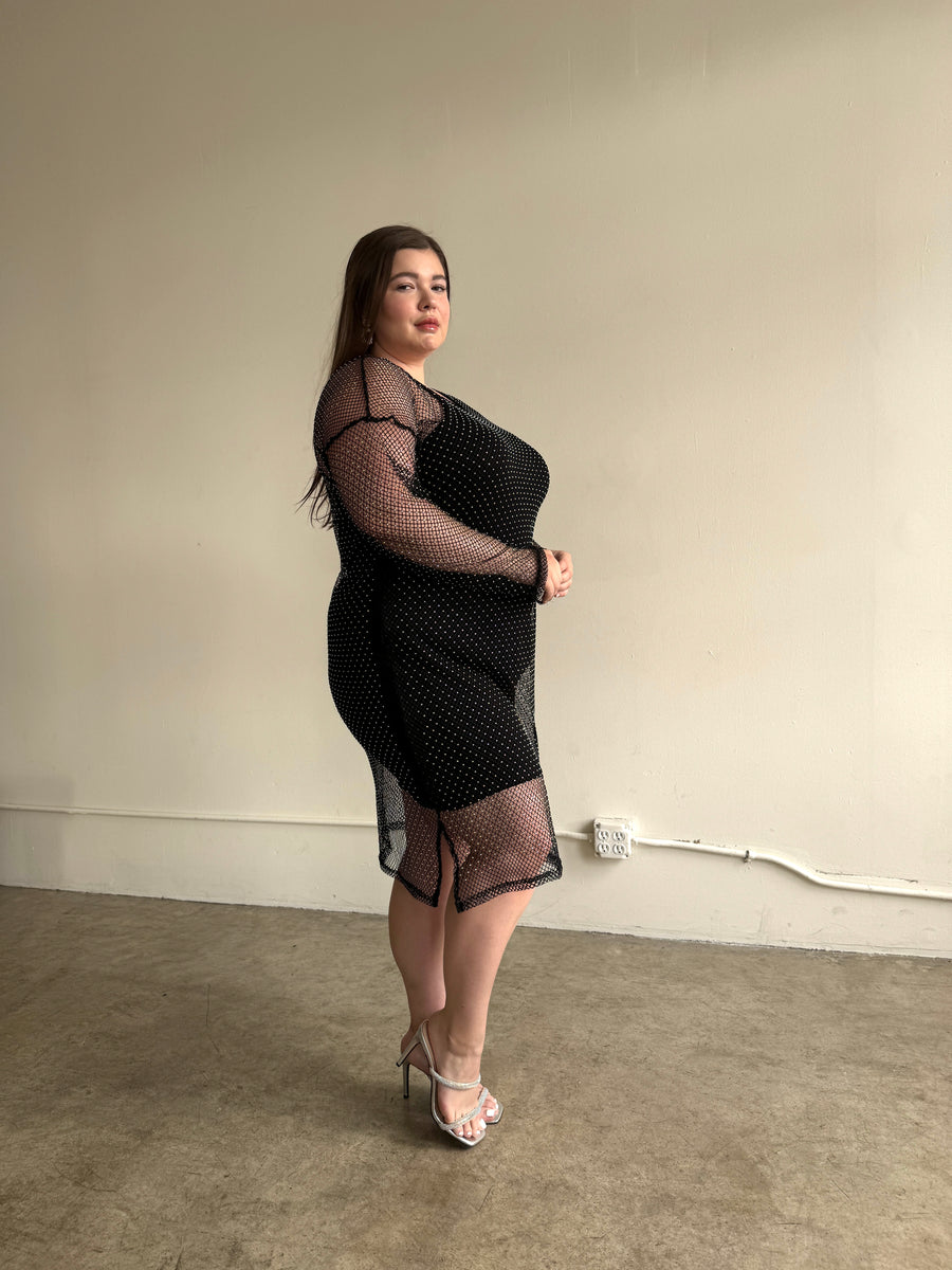 Plus Size Rhinestone Mesh Long Sleeve Dress 2020AVE Plus Size Rhinestone Mesh Long Sleeve Dress 2020AVE