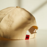 Butterfly Baseball Cap Accessories -2020AVE