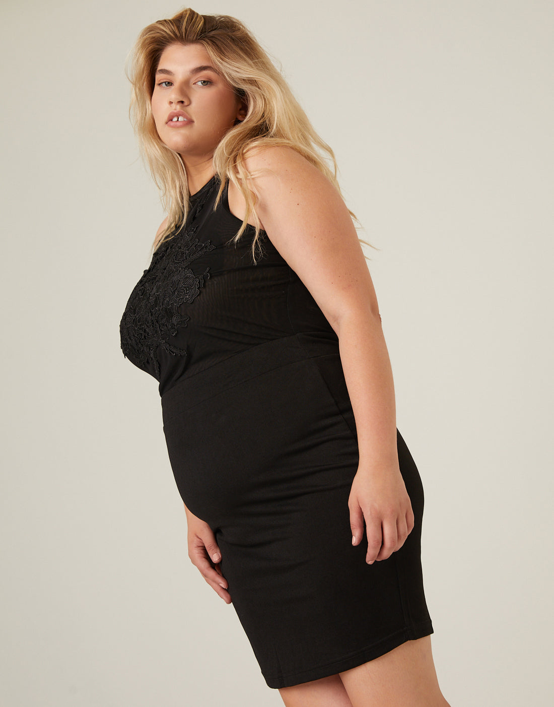 Plus Size Sheer Romance Dress 2020AVE Plus Size Sheer Romance Dress 2020AVE