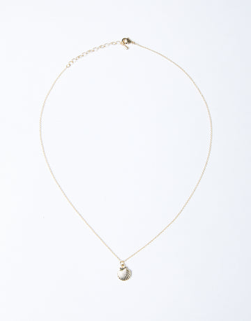 Dainty Shell Necklace Jewelry Gold One Size -2020AVE