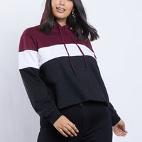 Curve Ava Colorblock Hoodie Plus Size Tops Burgundy 1XL -2020AVE