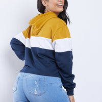 Curve Ava Colorblock Hoodie Plus Size Tops -2020AVE