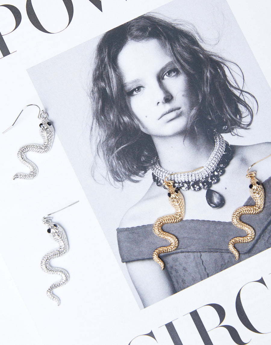 Wavy Snake Earrings Jewelry Silver One Size -2020AVE
